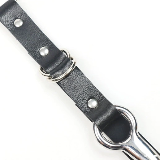 and EverydayUse Leash Hook 5853 Kinky Collar Anal with 0723
